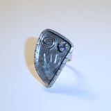 Tanzanite Petroglyph Sterling Silver Ring